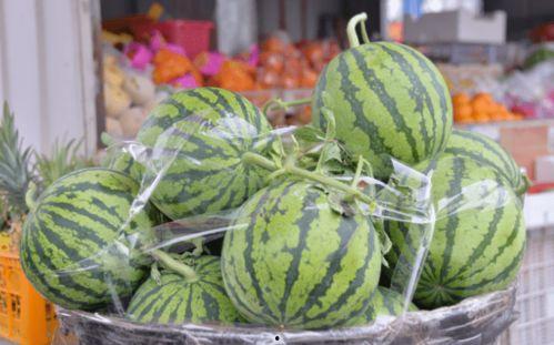 吃瓜之乐,揭秘网络热议背后的趣味人生