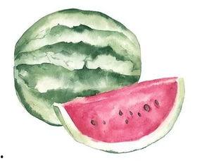 吃瓜之乐,揭秘网络热议背后的趣味人生