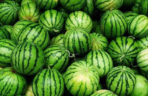 最新鲜的吃瓜视频,最新鲜的瓜料，你get了吗？