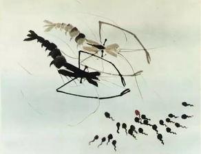 瓜西瓜吃蝌蚪找妈妈,一场蝌蚪与妈妈的温馨邂逅