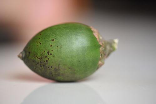 瓜栗果子怎么吃,解锁美味新体验