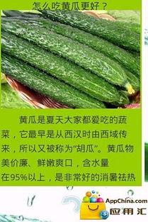 怎样形容吃瓜的人