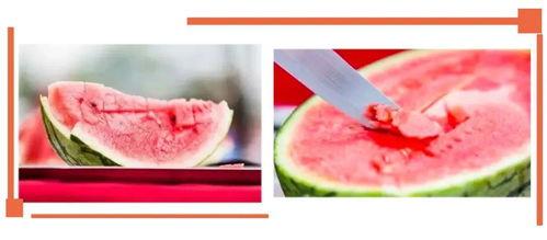 莱州沙河吃瓜,夏日消暑吃瓜，体验当地风情