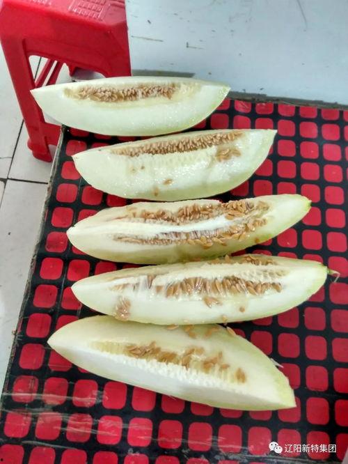 潘宏园区吃瓜,揭秘背后的真相与争议