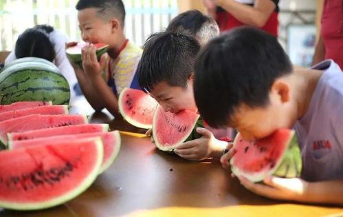 吃瓜小镇,揭秘神秘小城的瓜香传奇