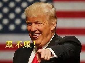 吃瓜疯子,网络红人的崛起与争议