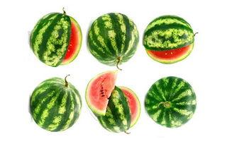 莱阳市吃瓜,探寻莱阳特色美食之旅