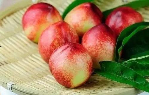 吃瓜窗外桃子,吃瓜者的夏日诱惑