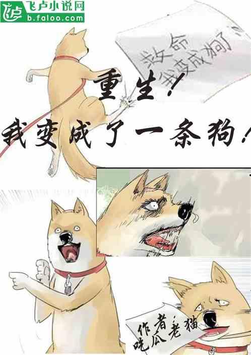 吃瓜认亲小说免费阅读,免费阅读吃瓜认亲小说，揭秘家族秘密