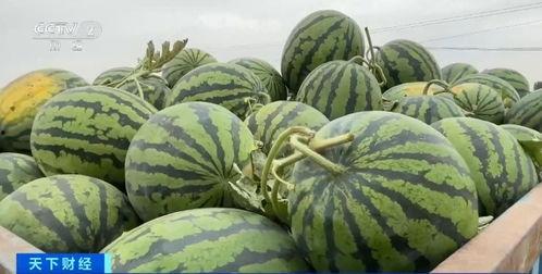 热点新闻吃瓜,吃瓜群众围观明星风波